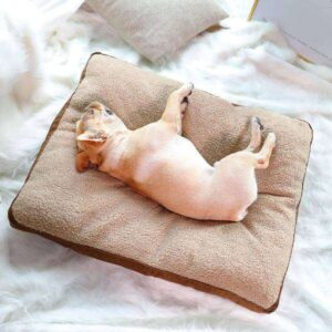 Au Lit