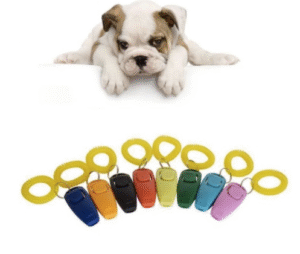 Home 41 Le Clicker pour Éduquer Son Bouledogue