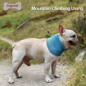 Bouledogue Avenue Bandana Refroidissant pour Chien