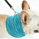 Bouledogue Avenue Bandana Refroidissant pour Chien