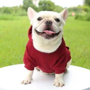Blouson à Capuche pour Bouledogue Français Pour Bouli