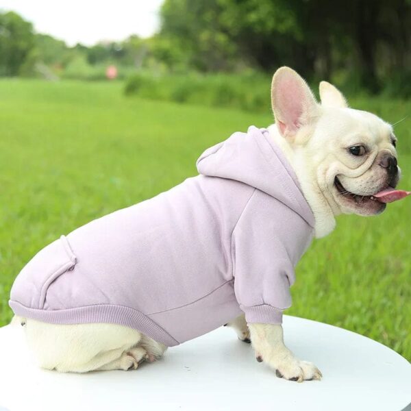 Blouson à Capuche pour Bouledogue Français Pour Bouli