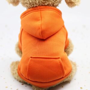 Blouson à Capuche pour Bouledogue Français Pour Bouli Orange / 2XL