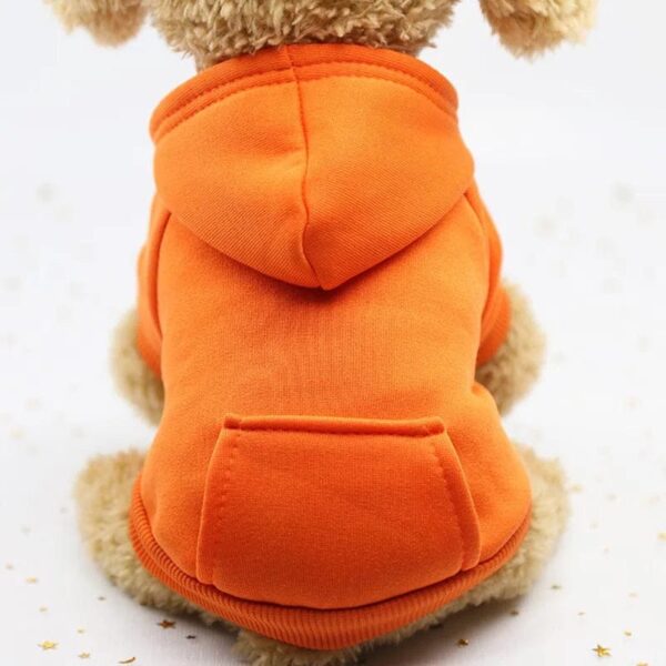Blouson à Capuche pour Bouledogue Français Pour Bouli Orange / 2XL