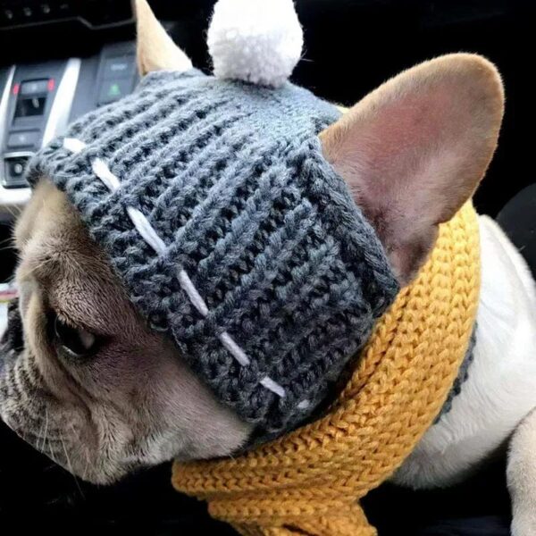 Bonnet Cagoule Pompon Pour Bouledogue Francais Dog Apparel