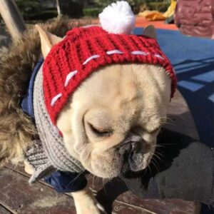 Bonnet Cagoule Pompon Pour Bouledogue Francais Dog Apparel