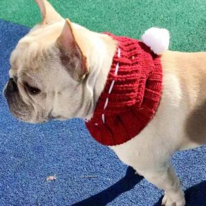 Bonnet Cagoule Pompon Pour Bouledogue Francais Dog Apparel