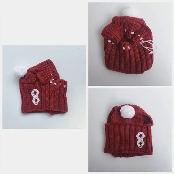 Bonnet Cagoule Pompon Pour Bouledogue Francais Dog Apparel