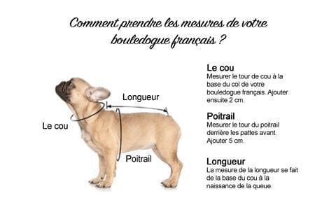 Manteau Bouledogue Francais (Hiver 2020 / 2021) 20 taille bouledogue francais