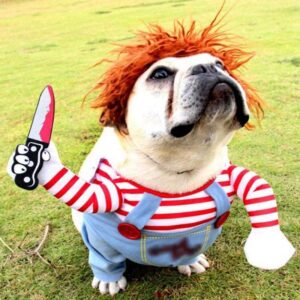 Bouledogue Avenue Pour Bouli Bouledogue Francais Halloween Costume Poupée Mortelle Effrayant Cosplay Chucky