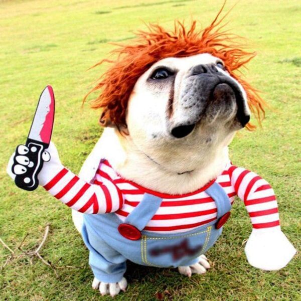 Bouledogue Avenue Pour Bouli Bouledogue Francais Halloween Costume Poupée Mortelle Effrayant Cosplay Chucky