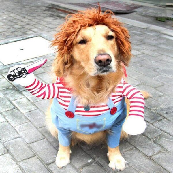 Bouledogue Avenue Pour Bouli Bouledogue Francais Halloween Costume Poupée Mortelle Effrayant Cosplay Chucky
