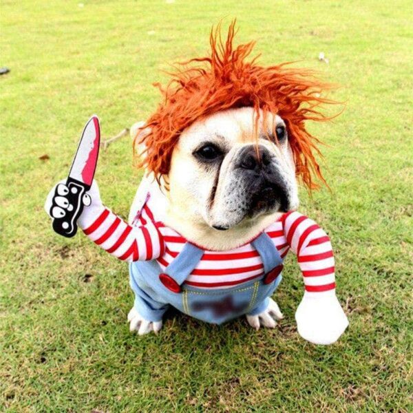 Bouledogue Avenue Pour Bouli Bouledogue Francais Halloween Costume Poupée Mortelle Effrayant Cosplay Chucky