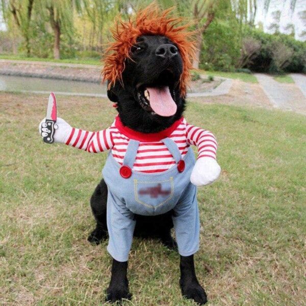 Bouledogue Avenue Pour Bouli Bouledogue Francais Halloween Costume Poupée Mortelle Effrayant Cosplay Chucky