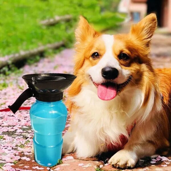 Bouteille d’Eau 2-en-1 pour Bouledogue Français Dog Supplies