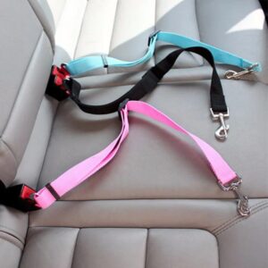 Ceinture de Sécurité Réglable pour Bouledogue Français Pour Bouli
