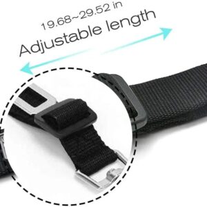Ceinture de Sécurité Réglable pour Bouledogue Français Pour Bouli