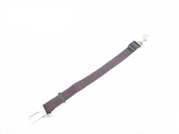 Ceinture de Sécurité Réglable pour Bouledogue Français Pour Bouli Coffee