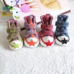 Bouledogue Avenue Pour Bouli Chaussures type Converse en Jean