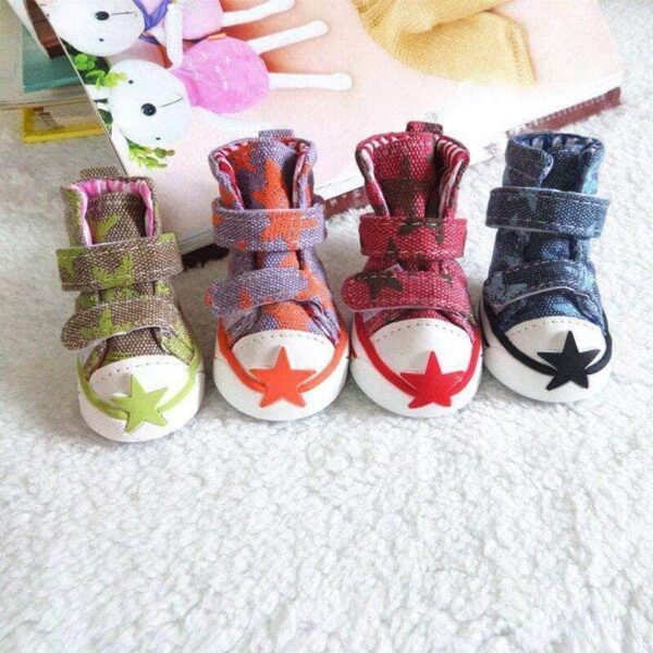 Bouledogue Avenue Pour Bouli Chaussures type Converse en Jean