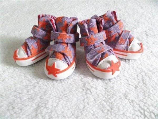 Bouledogue Avenue Pour Bouli Violet / 2 Chaussures type Converse en Jean