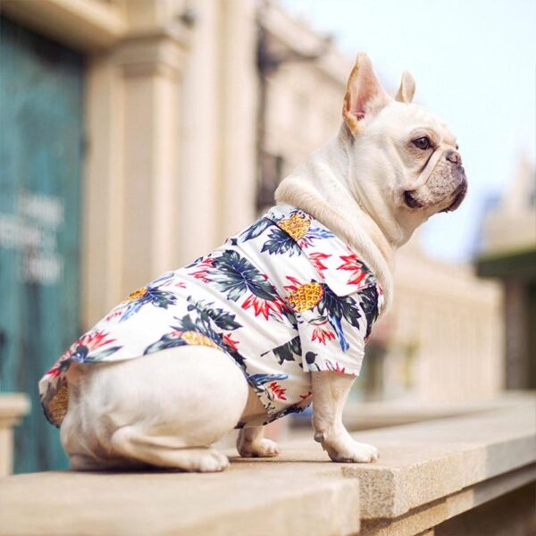 Bouledogue Avenue Pour Bouli Chemise Hawaïenne Blanche d'Été pour Bouledogue Français
