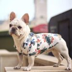 Bouledogue Avenue Pour Bouli Chemise Hawaïenne Noire d'Été pour Bouledogue Français