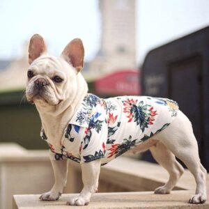 Bouledogue Avenue Pour Bouli Chemise Hawaïenne Noire d'Été pour Bouledogue Français