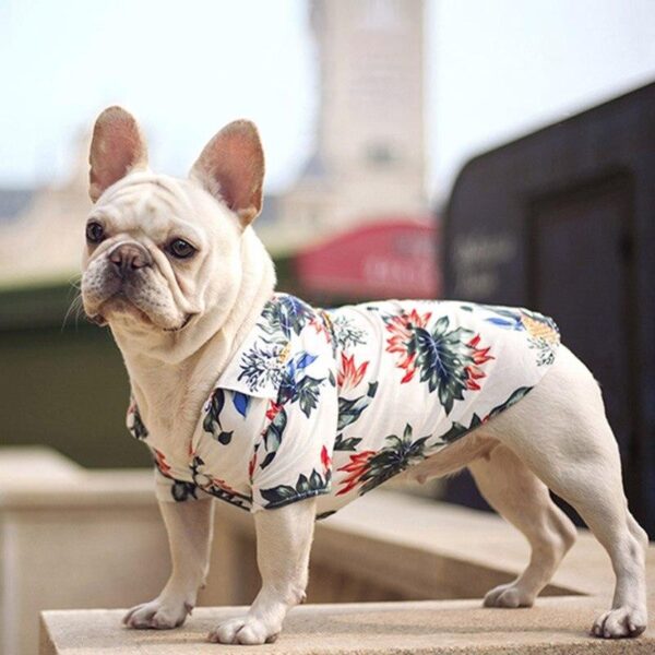 chemise-hawaienne-noire-d-ete-pour-bouledogue-francais-pour-bouli-bouledogue-avenue-28535726014551 Bouledogue Avenue Pour Bouli Chemise Hawaïenne Noire d'Été pour Bouledogue Français