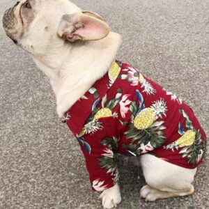 Bouledogue Avenue Pour Bouli Chemise Hawaïenne Rouge d'Été pour Bouledogue Français