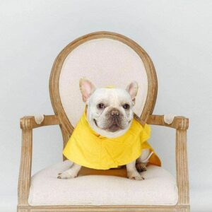 Bouledogue Avenue Pour Bouli Ciré fashion imperméable