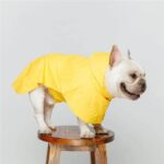 Bouledogue Avenue Pour Bouli Ciré fashion imperméable