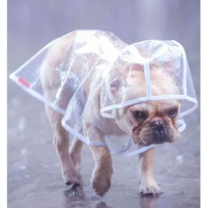 Bouledogue Avenue Pour Bouli Ciré transparent et imperméable