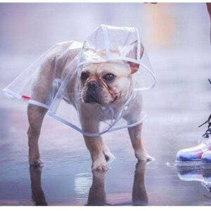 Bouledogue Avenue Pour Bouli Ciré transparent et imperméable