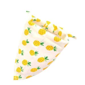 Bouledogue Avenue Pour Bouli Ananas / 62X43X43cm Collier - Bandana Fruité