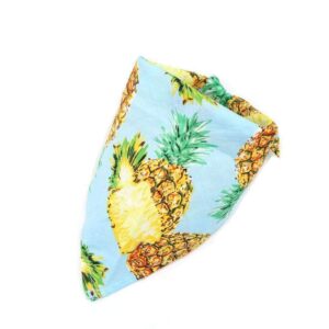 Bouledogue Avenue Pour Bouli Ananas Bleu / 62X43X43cm Collier - Bandana Fruité