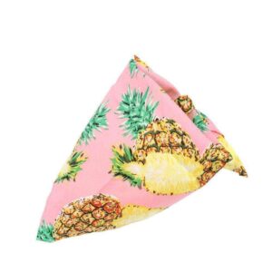 Bouledogue Avenue Pour Bouli Ananas Rose / 62X43X43cm Collier - Bandana Fruité