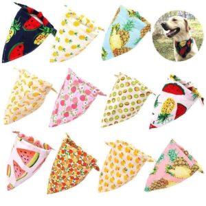 Bouledogue Avenue Pour Bouli Collier - Bandana Fruité