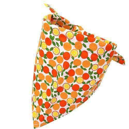 Bouledogue Avenue Pour Bouli Orange / 62X43X43cm Collier - Bandana Fruité
