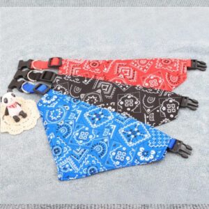 Bouledogue Avenue Pour Bouli Collier - Bandana Rocker