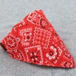 Bouledogue Avenue Pour Bouli Collier - Bandana Rocker