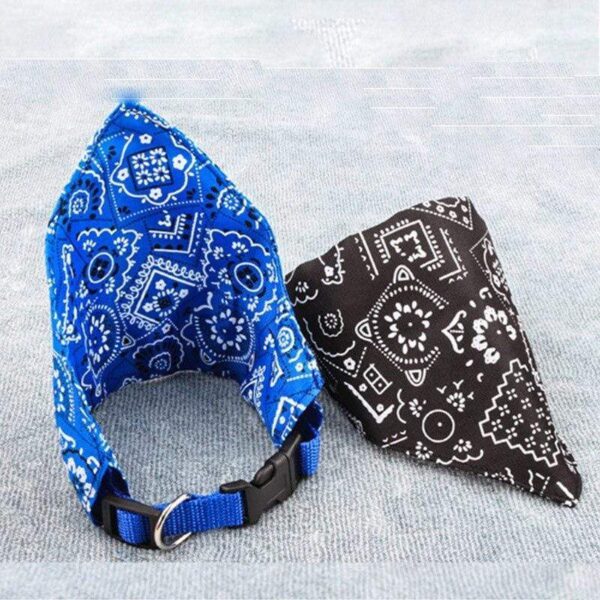 Bouledogue Avenue Pour Bouli Collier - Bandana Rocker