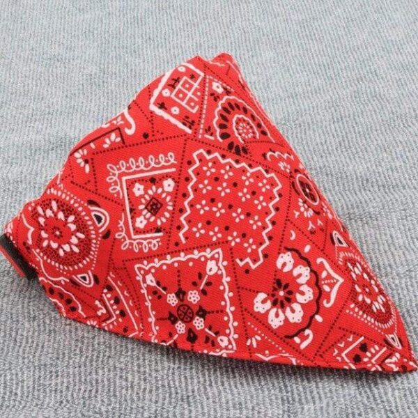 Bouledogue Avenue Pour Bouli Rouge / XS Collier - Bandana Rocker