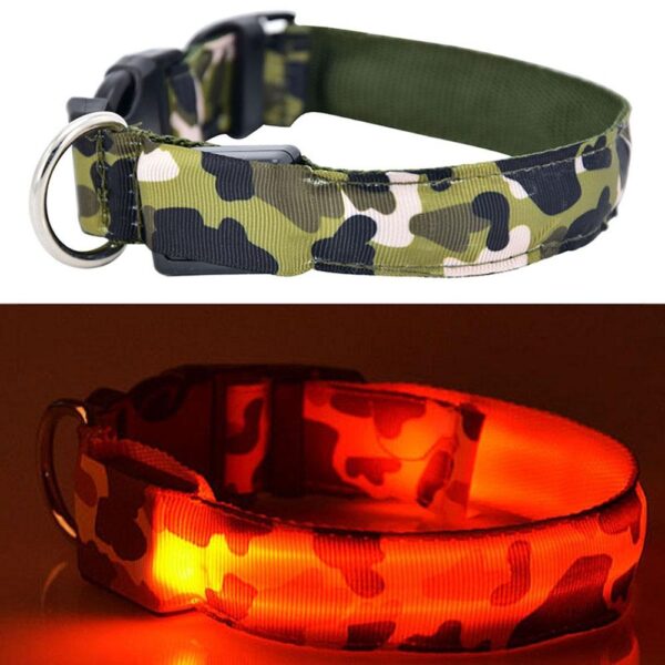 Collier Camouflage LED Pour Chien 4 Collier Camouflage LED Pour Chien Pour Bouli