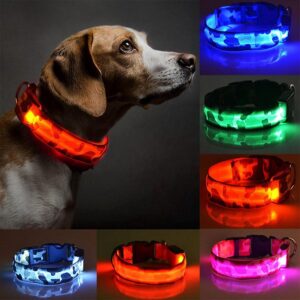 Collier Camouflage LED Pour Chien Pour Bouli