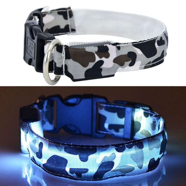 Collier Camouflage LED Pour Chien 13 Collier Camouflage LED Pour Chien Pour Bouli