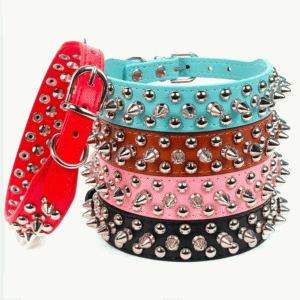 Collier en Cuir Clouté pour Bouledogue Français Pour Bouli
