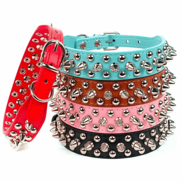 Collier en Cuir Clouté pour Bouledogue Français Pour Bouli