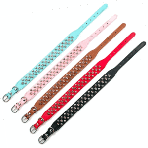 Collier en Cuir Clouté pour Bouledogue Français Pour Bouli