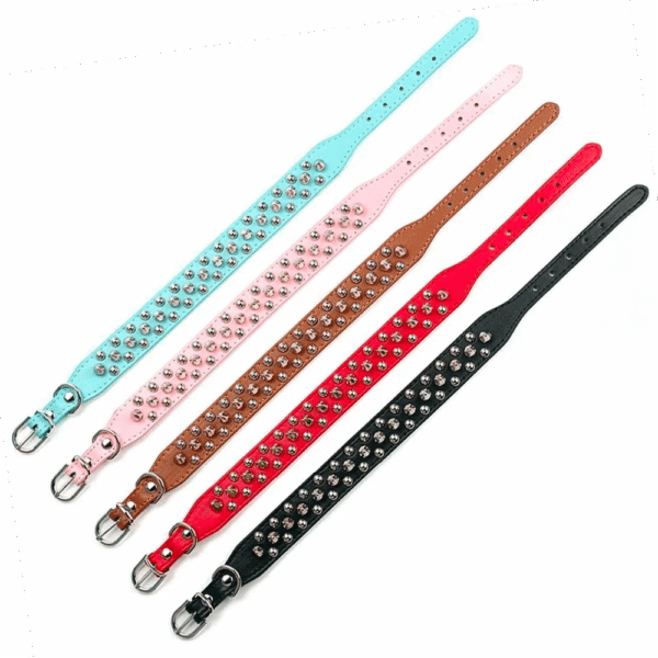 Collier en Cuir Clouté pour Bouledogue Français Pour Bouli